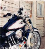 A picture painted by <mark class="comcode_highlight">Illusions</mark> Custom Paint and Airbrush